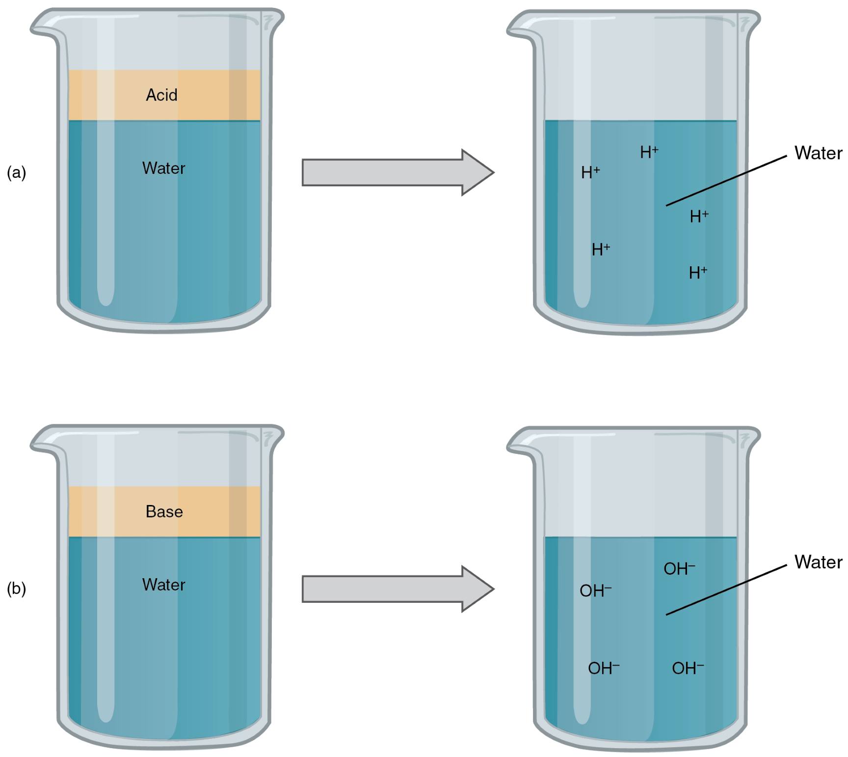 Acids and Bases in Aqueous Solutions: A Detailed Exploration